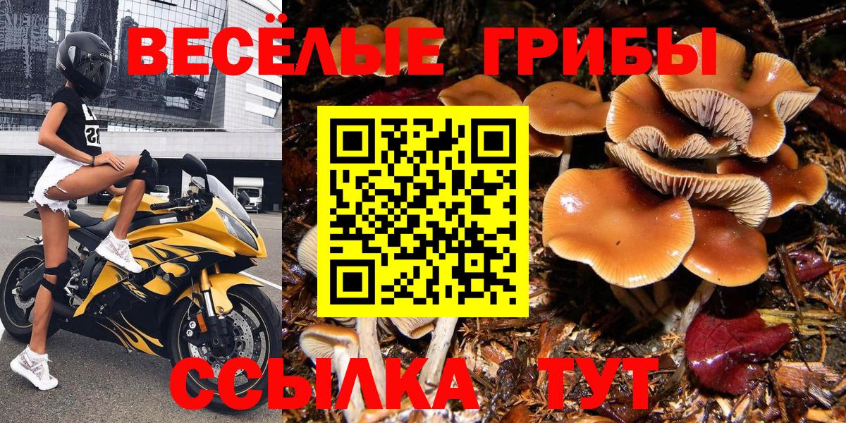 Галлюциногенные грибы мицелий Югорск